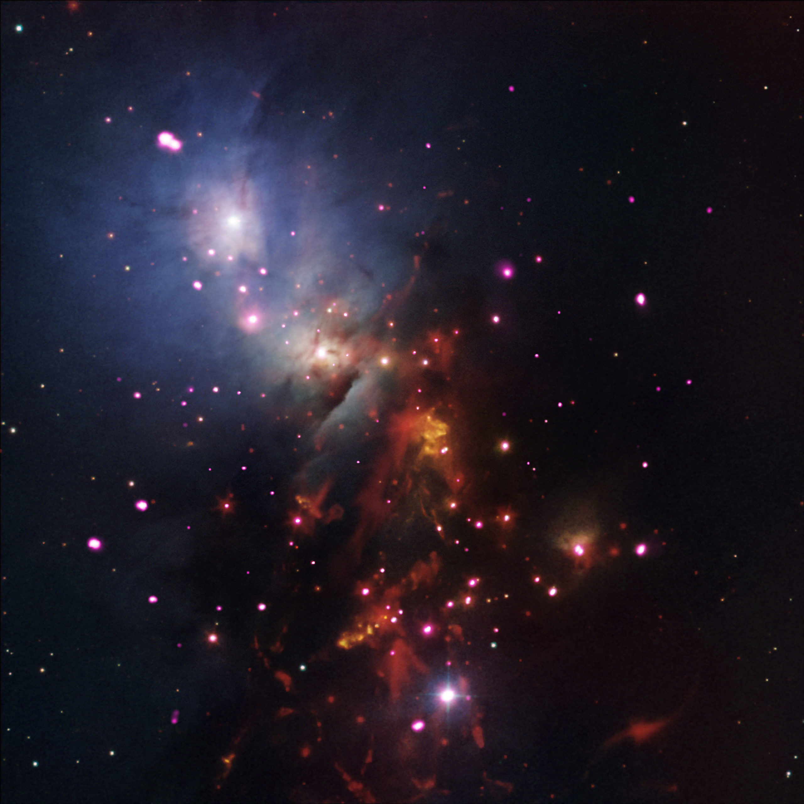 NGC 1333: Stellar sparklers that remaining